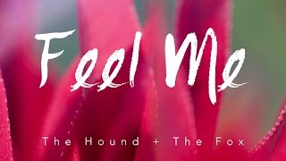 Feel Me (Original Lyric Video) | The Hound + The Fox chords