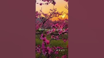 @dawlet-telawat الشيخ حلمي الجمل-نوادر روعه ممتاز جدا نادر #تلاوات
