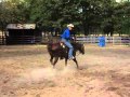 Teaching Your Horse to Spin - Part 2