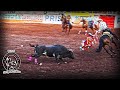 BUENA SALIDA!! EL PAJARITO DE RANCHO NEGRO EN SAN NICOLAS DE IBARRA