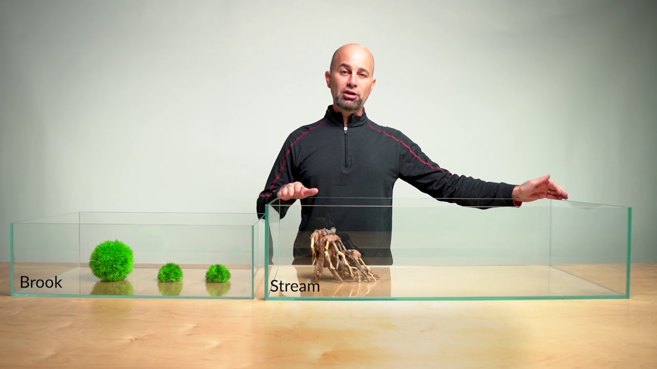 Brook 45 Degree 11.5 Gal. (LI) Ultra Clear Aquarium 23.6