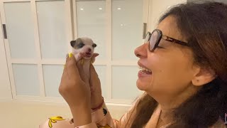She opened her EYES in just 12 days | Ss vlogs :-)