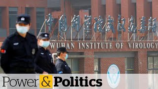 Calls grow to investigate the Wuhan lab-leak theory