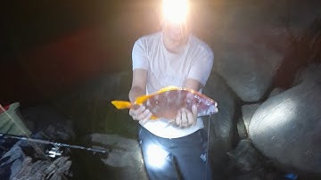 #19/ Câu đêm và trải nghiệm món cá nướng cùng anh em.#fishing   @ThoiTranFishing