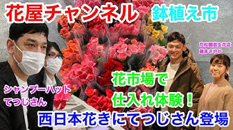 シャンプーハット Youtube