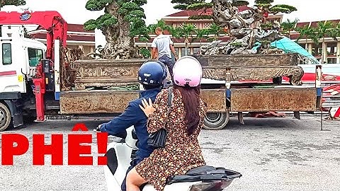 không khí sôi động ngày nhận cây ở triển lãm Bắc Ninh 2020