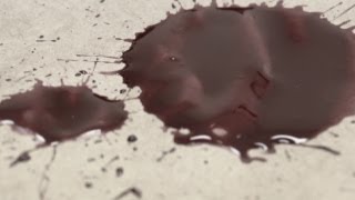 Blood Splatter - Scream: The True Story