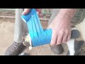 Splinting A Broken Boer Goat Foreleg 