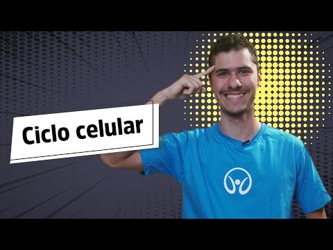 Vídeo: O que significa ciclo celular?