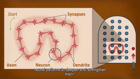 01 what is learning 02 procrastination memory and sleep 04 1 8 the importance of sleep in learning