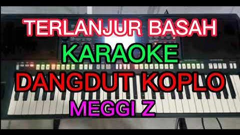 TERLANJUR BASAH KARAOKE DANGDUT KOPLO meggiz