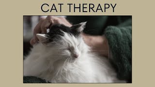 The Magic of Therapy Cats: How Furry Healers Transform Lives