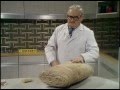Ronnie barker  the day after tomorrows world