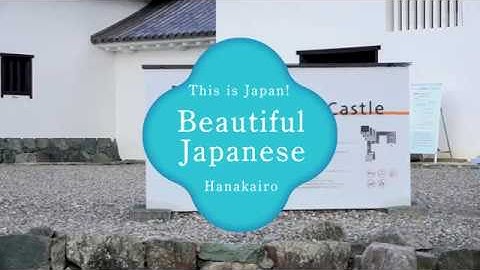 Beautiful Japanese Hanakairo（English version）