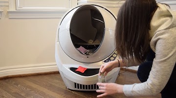 Making the Switch: How to Get Your Cat Used to the Litter-Robot