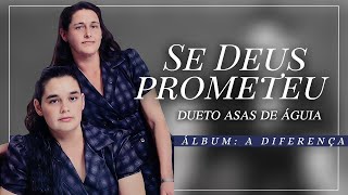 Dueto Asas de Águia - (Vera & Edna) | Se Deus Prometeu (Pseudo Vídeo)