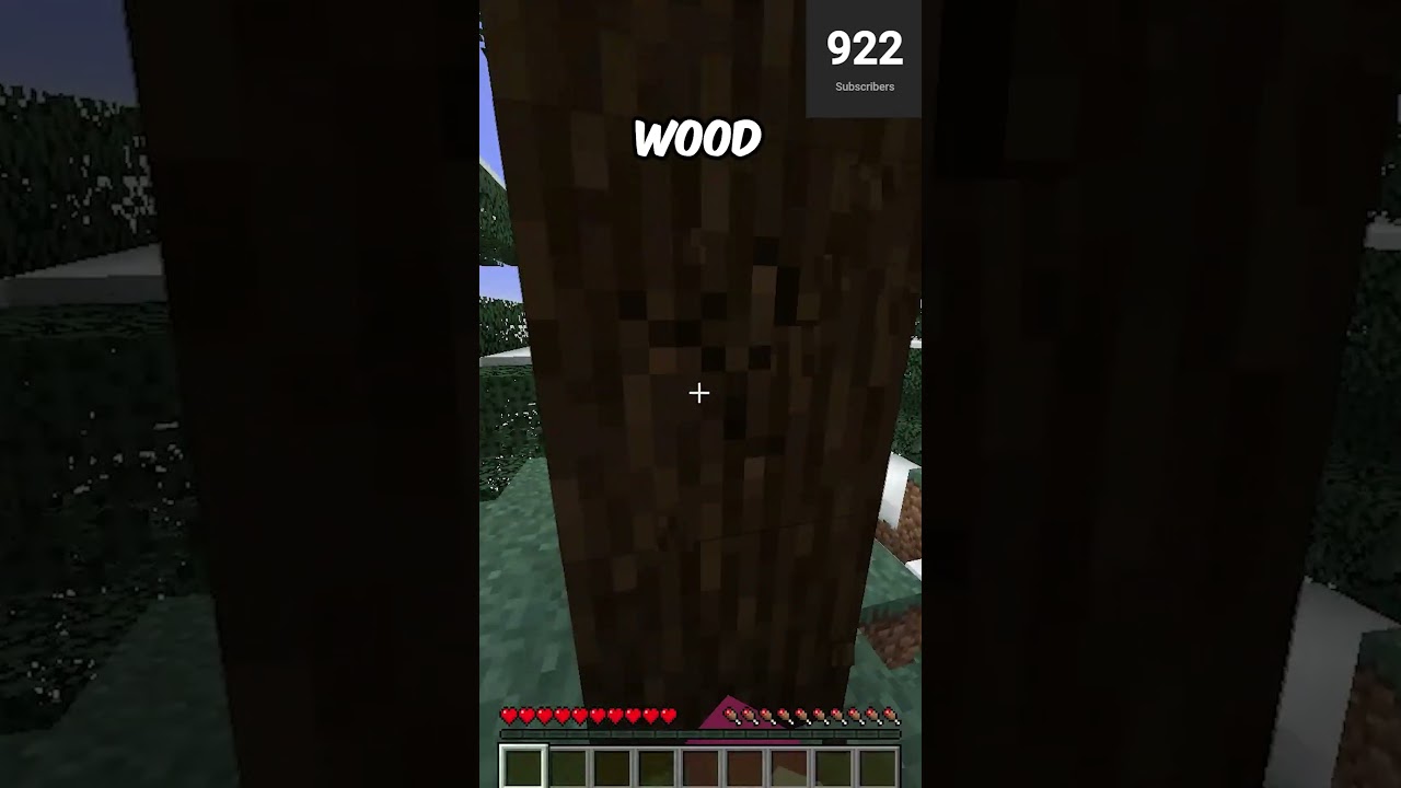 If Someone SUBSCRIBES The Video Ends!