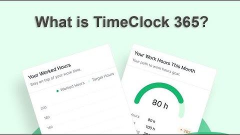 TimeClock 365 - what is it ?