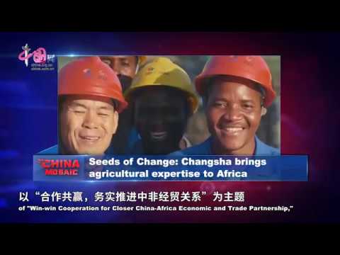 Seeds of Change: Changsha brings agricultural expertise to Africa