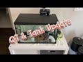 Waterbox aio nano reef tank build  ep 31  qt  main tank update