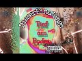 DieserEineJunge a.k.a. Herr Ehrlich - Tief am Boden     ( depri / song / true story traurige Welt/ )