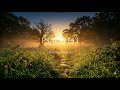 Psalm 143 — Lead Me | Catholic Sung Scripture | Final Penitential Psalm