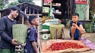 Poor boy harvests red plums to sell. Build a life with the help of a kind uncle