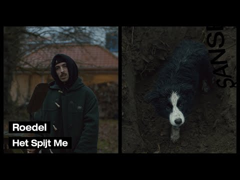 Roedel - Het Spijt Me