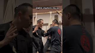 Download Lagu Daily Training for Wing Chun: Exploring Elbow Techniques and Skills - Master Tu Tengyao MP3 Download Lagu Daily Training for Wing Chun: Exploring Elbow Techniques and Skills - Master Tu Tengyao MP3