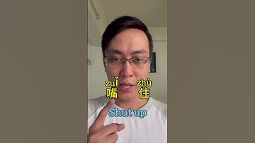 5 Common sentences to argue #chineselanguagelearning #language #learnchinesewords