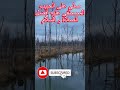 The Most Heinous Crime Of Betrayal And Treachery Abeer Al Iskandarani And The Bag From The Mahmo
