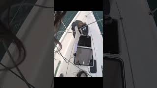 Spinnaker up #pov #sailing #sailracing #orc #spinnaker #bowman