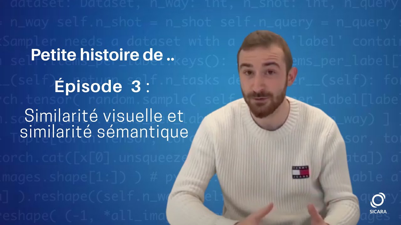 📚 Phd 3 : Similarité visuelle et similarité sémantique