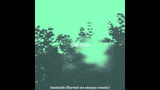 Aspetuck - Toutatis (Forest On Stasys Remix)