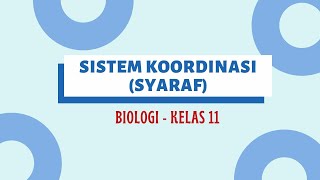 COORDINATION SYSTEM (NERVIC) IN HUMANS - BIOLOGY 11 SMA screenshot 4