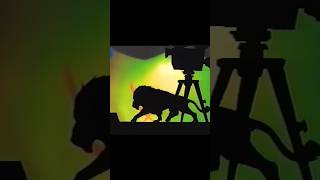 Mgm Sing Alongs Leo The Lion Walking And Purring