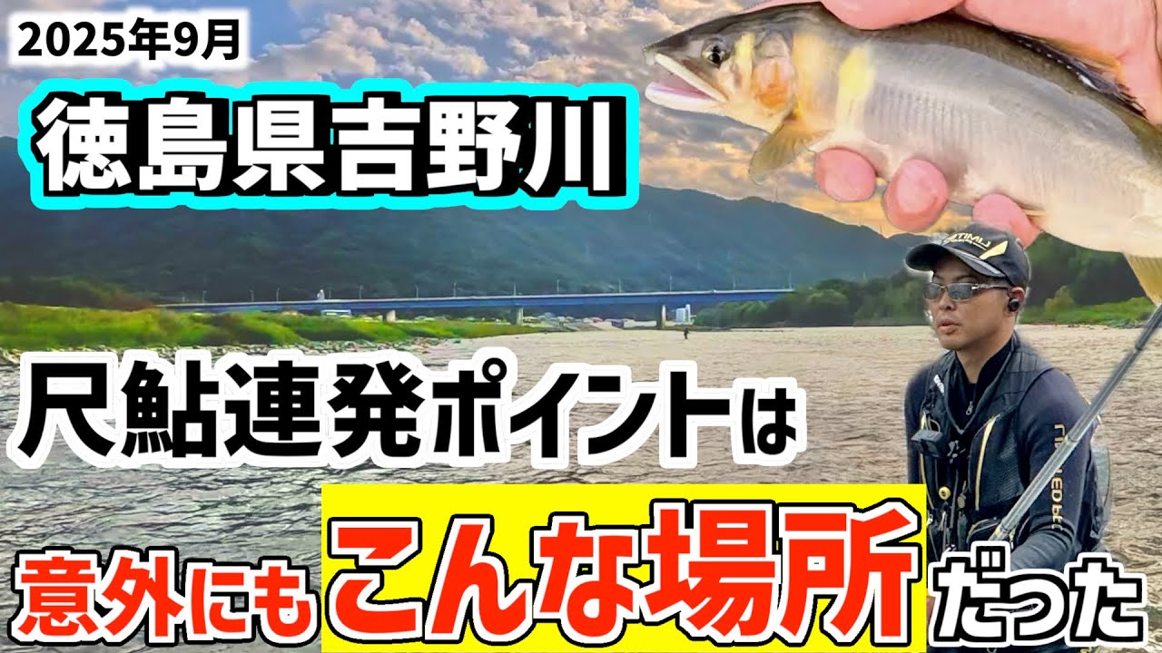 【鮎釣り2025】尺鮎が連発情報の徳島県吉野川で有名ポイントに入ってみた！