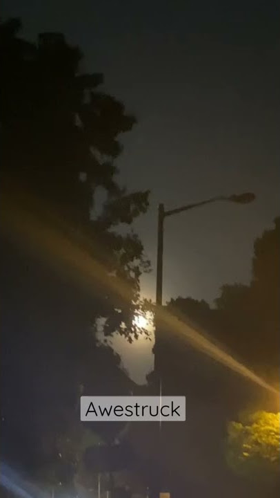 I want to knock out the street lights #sagittariusmoon #shorts #shortsfeed
