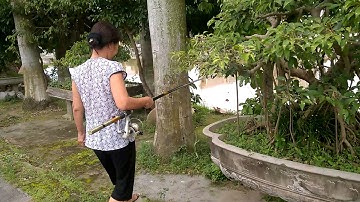 ║CLB câu cá thái bình║ -  Xem chị gái thái bình câu cá sông tại Vũ Thư