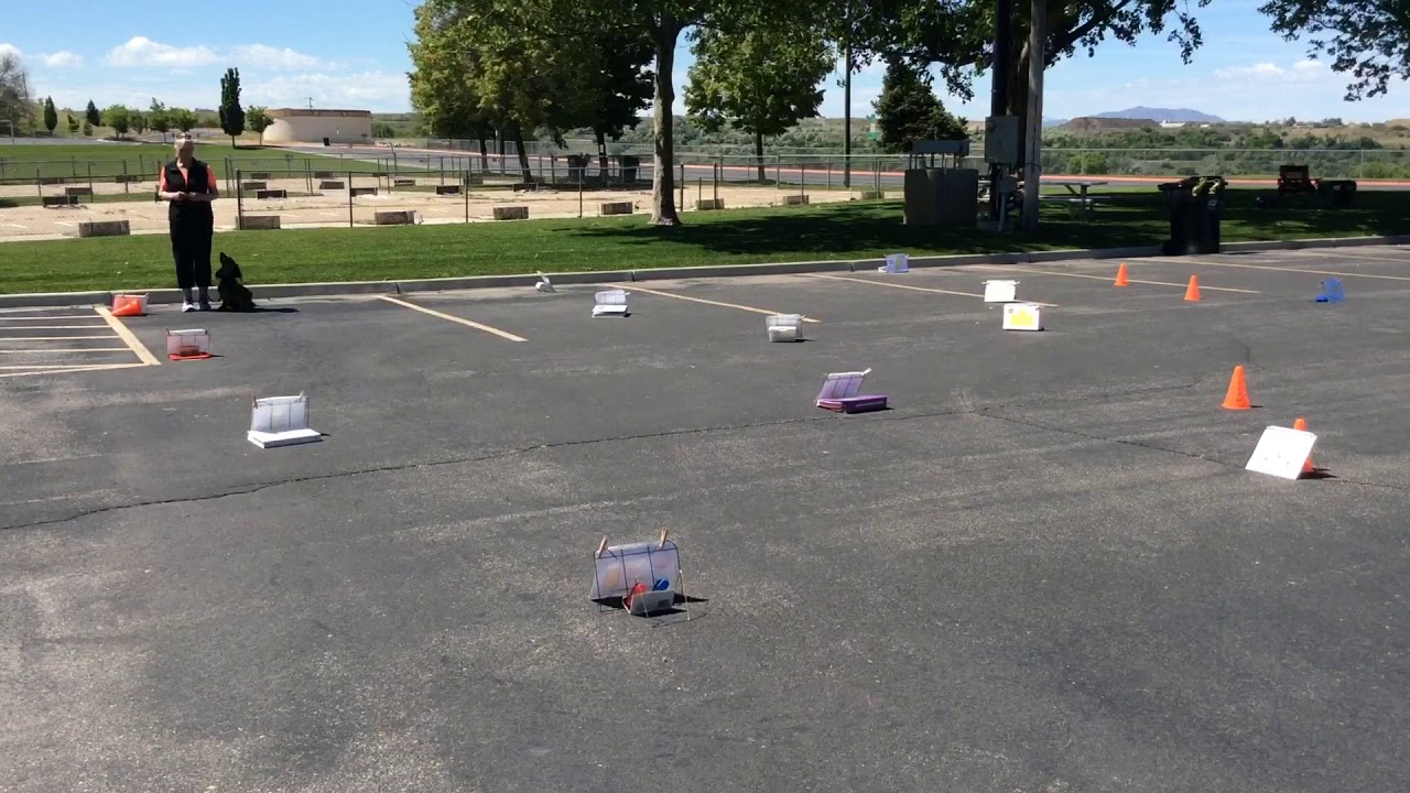 Bruno Rally Novice Course #1 - YouTube