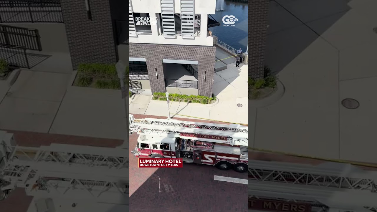 A coyote is stuck on a 2nd-flood ledge of the Luminary Hotel in downtown Fort Myers