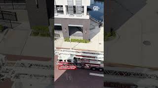 A Coyote Is Stuck On A 2Nd-Flood Ledge Of The Luminary Hotel In Downtown Fort Myers