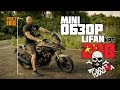 Обзор Lifan KPT 200: Спустя 1500 км. Удобная посадка при росте 180 см