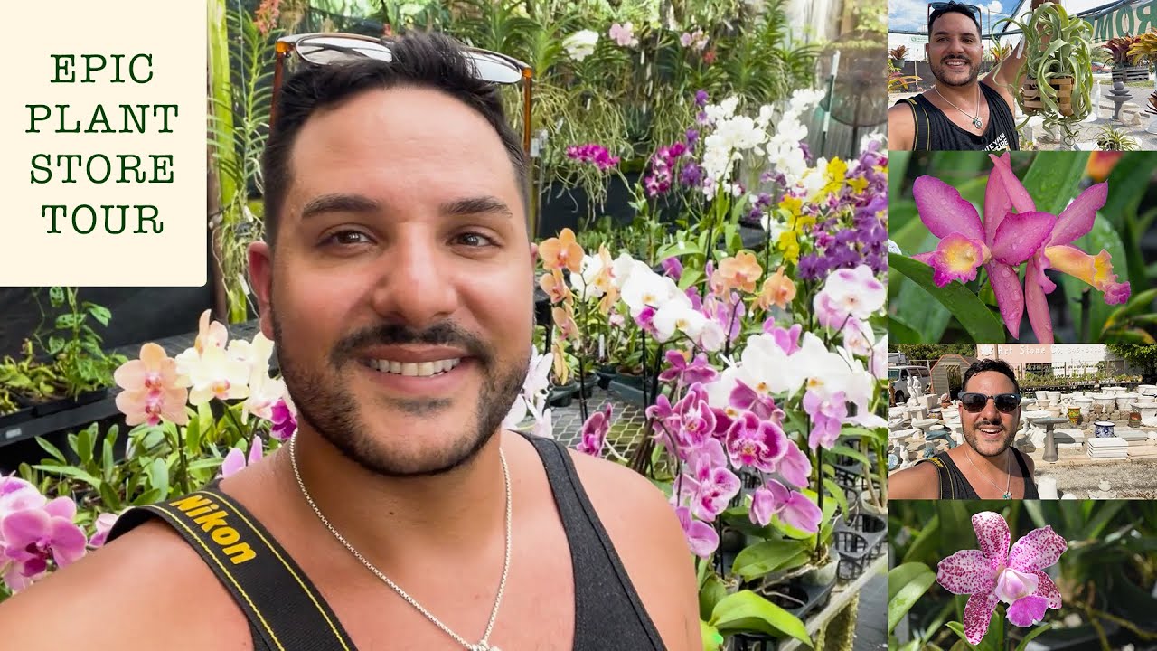 Plant Store Walking Tour Epic Collection Of Orchids Cacti And plant-store-walking-tour-epic-collection-of-orchids-cacti-and