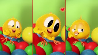 Where's Chicky ?  LOVELY BUBBLE GUM  NEW episodes in HD