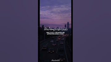 سورة التحريم بصوت ياسر الدوسري 🌿 #ياسر_الدوسري #سورة_التحريم