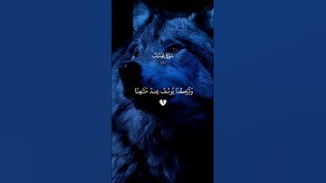 أحسن القصص… وجاءوا أباهم عشاءً يبكون 🥺♡| #قرآن #تلاوة_خاشعة #شريف_مصطفى #تابعوني #اكسبلور #لايك