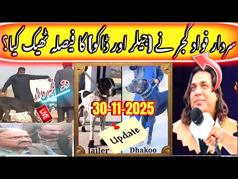 Daku Or Jeiler Kutty Ka Faisla Sardar Fawad Gujjar Ny Kiya Theek Kiya Kon Hara Kon Jeeta Bk Bully 