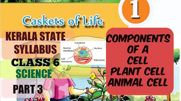 Part3 Class6 Science CASKETS OF LIFE CLASS 6 KERALA STATE SYLLABUS Science Chapter1