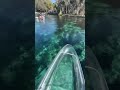 Discover the perfect day trip in Central Florida at Silver Springs – only 1.5 hours from Orlando!